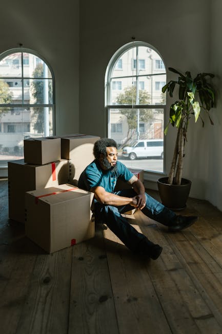A man with curly dark hair, wearing a blue t-shirt and jeans, is seated on a light wooden floor inside a room with natural light coming through two large arched windows. He is surrounded by several cardboard moving boxes, some stacked and others placed on the floor, all sealed with packing tape. The boxes appear to contain household items for a home relocation, and some have red markings or labels. Behind him, there is a tall potted plant with broad green leaves positioned near the right window. The room has white walls, and the bright daylight highlights the scene, capturing the moments of packing and preparing for a move. This image reflects aspects of furniture transport, packing, and loading processes typical of professional removals services offered by Movers Edgware, as part of their house removals in the Edgware area.
